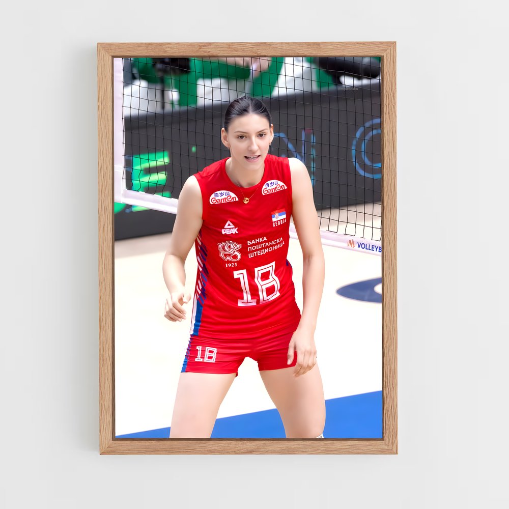 Poster Ace de Volleyball (vue 4)